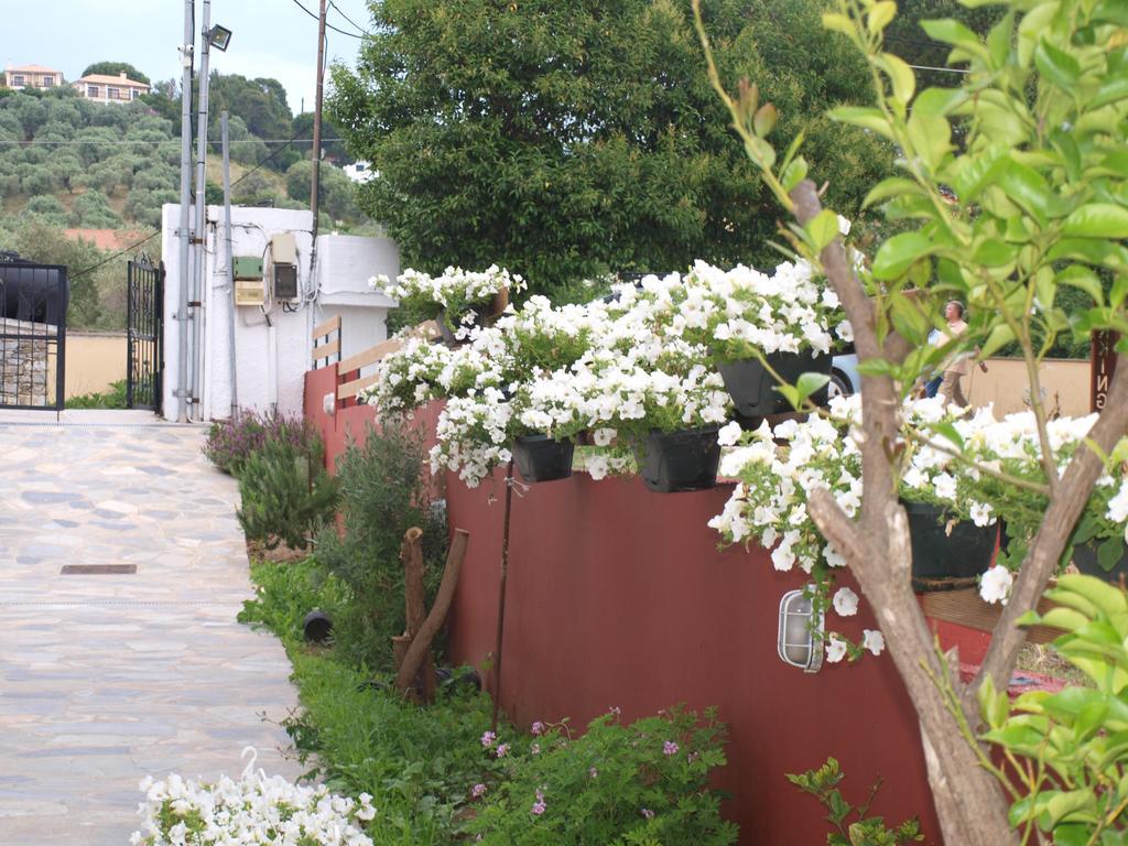 Aspa Victoria Troulos